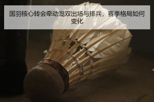 国羽核心转会牵动混双出场与排兵，赛季格局如何变化